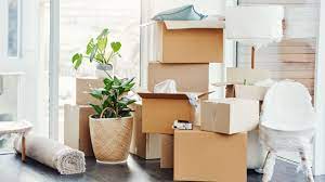Apollo Logistics Movers Corp.